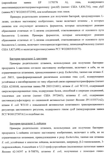 Способ получения l-треонина с использованием бактерии, принадлежащей к роду escherichia, в которой инактивирован ген msba (патент 2392313)