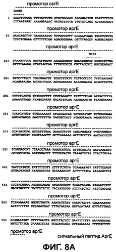 Модифицированные варианты ингибиторов протеаз bowman birk (патент 2509776)