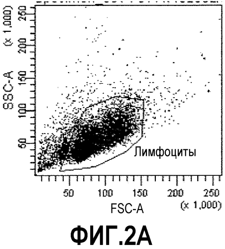 Способ идентификации иммунных связывающих веществ поверхностных антигенов клетки (патент 2577965)