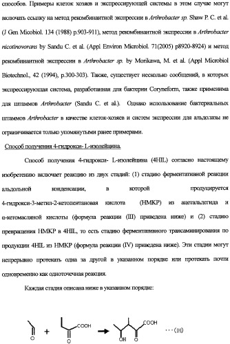 Новая альдолаза, днк, кодирующая альдолазу, клетки, трансформированные днк, способ получения альдолазы и способ получения 4-гидрокси-l-изолейцина (варианты) (патент 2338784)