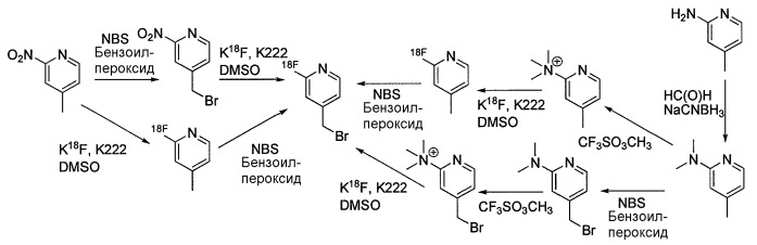 Агенты, связывающиеся с psma, и их применение (патент 2494096)
