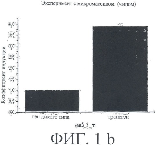 Ее3-семейство белков и соответствующие днк-последовательности (патент 2333918)
