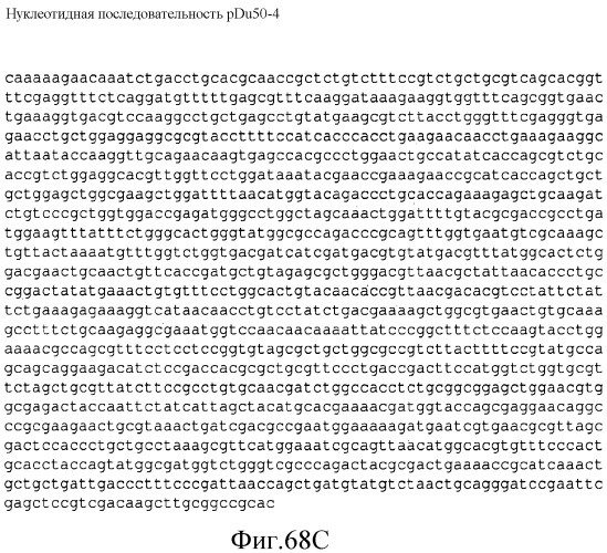 Варианты изопренсинтазы, применяемые для улучшения продуцирования изопрена микроорганизмами (патент 2516343)