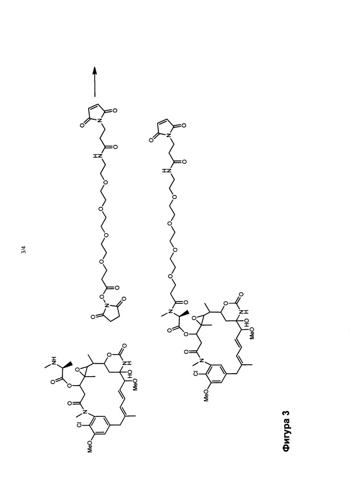 Улучшенные способы ацилирования майтанзинола (патент 2648992)