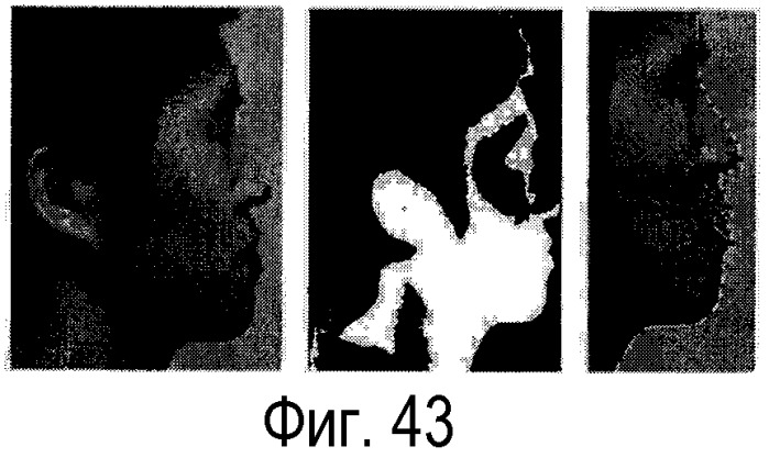 Способ и устройство для фотореалистического трехмерного моделирования лица на основе изображения (патент 2358319)