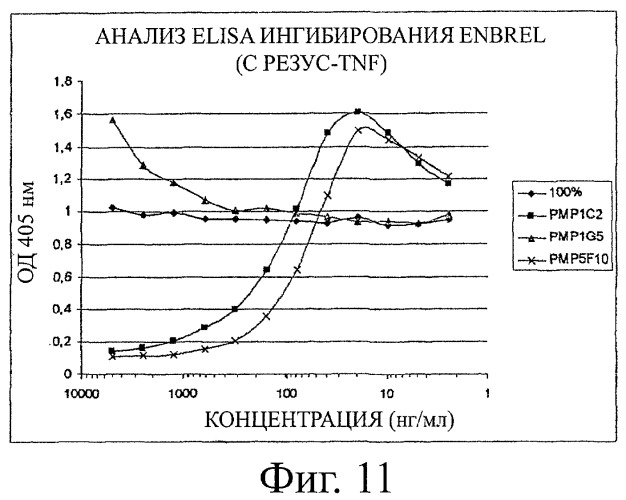Улучшенные нанотела против фактора некроза опухоли-альфа (патент 2464276)