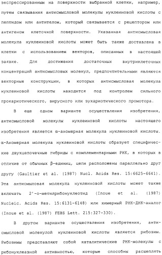 Гены corynebacterium glutamicum, кодирующие белки метаболических путей (патент 2306339)