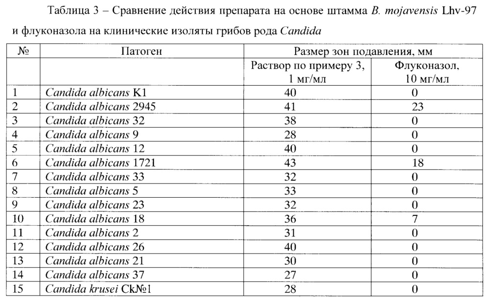 Штамм bacillus mojavensis lhv-97, обладающий фунгицидной и бактерицидной активностью (патент 2648163)