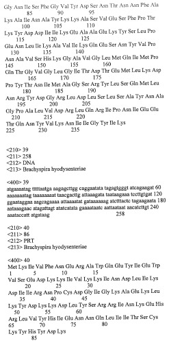 Гены и белки brachyspira hyodysenteriae и их применение (патент 2440369)