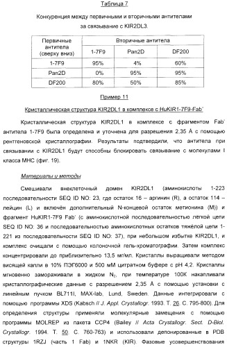 Антитела, связывающиеся с рецепторами kir2dl1,-2,-3 и не связывающиеся с рецептором kir2ds4, и их терапевтическое применение (патент 2410396)