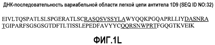 Антитела против альфа5-бета 1 и их применение (патент 2528736)