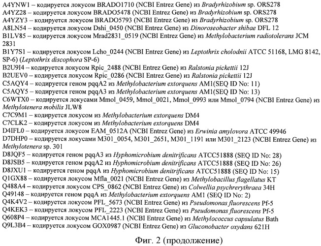 Способ получения пирролохинолинохинона (pqq) с использованием бактерии рода methylobacterium или hyphomicrobium (патент 2504584)