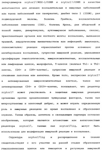 Новый лиганд рецептора цитокина zcytor17 (патент 2360923)