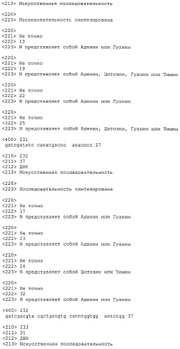 Антитела против bv8 и их применение (патент 2559542)