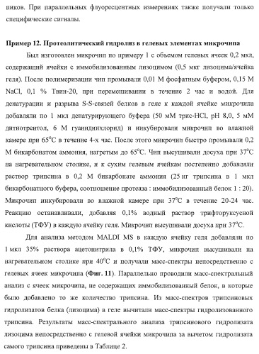 Биологический микрочип для множественного параллельного иммунологического анализа соединений и способы иммуноанализа, в которых он используется (патент 2363955)