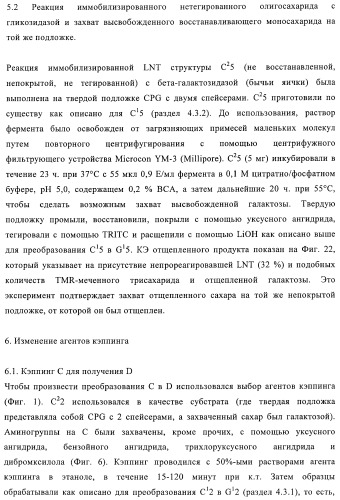 Твердофазное тегирование олигосахаридов: методика для манипуляции с иммобилизированными углеводами (патент 2398237)
