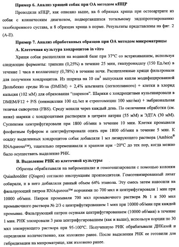 Гены, связанные с остеоартритом собак, и относящиеся к этому способы и композиции (патент 2341795)