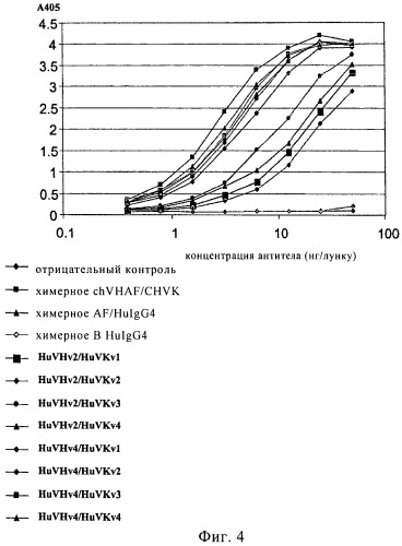Гуманизированное антитело (патент 2538709)