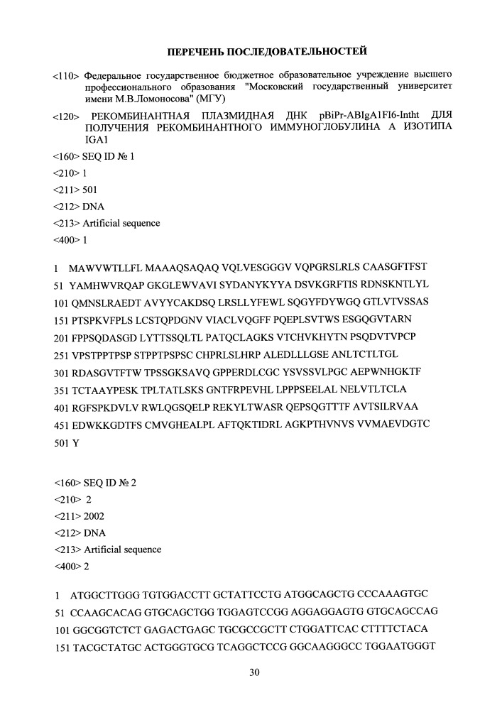 Рекомбинантная плазмидная днк pbipr-abiga1fi6-intht для получения рекомбинантного иммуноглобулина а изотипа iga1 (патент 2664184)