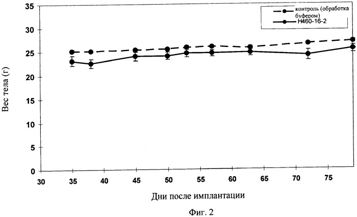 Химерные и гуманизированные антитела к cd44, которые опосредствуют цитотоксичность в отношении раковых клеток (патент 2487723)