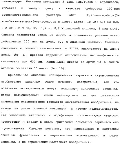 Белок ifnab-bpi, его предшественник, молекула днк, экспрессирующий вектор, способ продуцирования, фармацевтическая композиция для ингибирования активности ifn-  или ifn-  (патент 2336279)