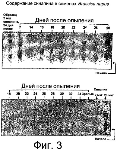 Способы и составы для измерения уровня содержания вторичных продуктов обмена веществ в растениях (патент 2260050)