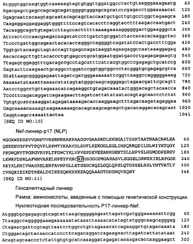 Вакцина для предупреждения и лечения вич-инфекции (патент 2441878)