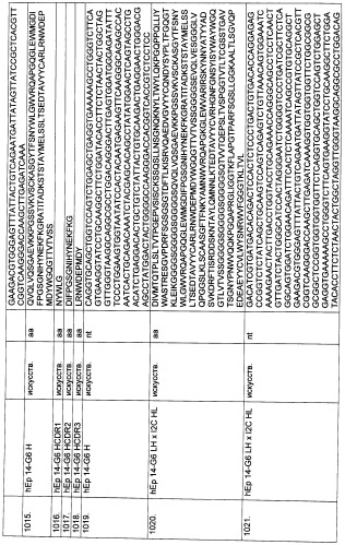 Pscaxcd3, cd19xcd3, c-metxcd3, эндосиалинxcd3, epcamxcd3, igf-1rxcd3 или fap-альфаxcd3 биспецифическое одноцепочечное антитело с межвидовой специфичностью (патент 2547600)