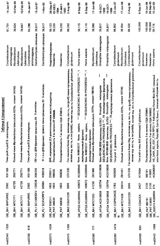 Гены corynebacterium glutamicum, кодирующие белки метаболических путей (патент 2306339)