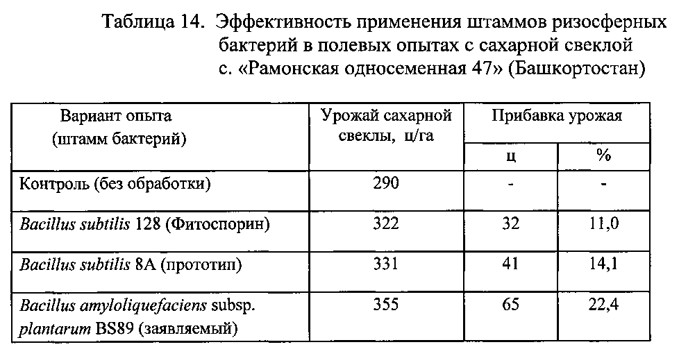 Штамм бактерий bacillus amyloliquefaciens subsp. plantarum bs89 в качестве средства повышения продуктивности растений и их защиты от болезней (патент 2599416)