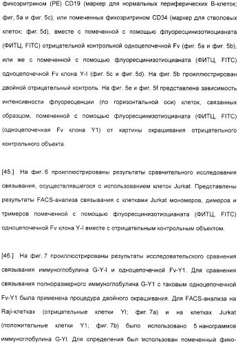 Специфические антитела человека для избирательной терапии рака (патент 2316564)