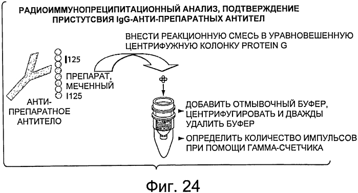 Композиции и способы для лечения болезни гоше (патент 2568831)