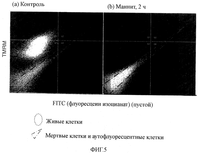 Способ индукции гибели плюрипотентных стволовых клеток и дифференцированных клеток, отличных от кардиомиоцитов (патент 2551778)