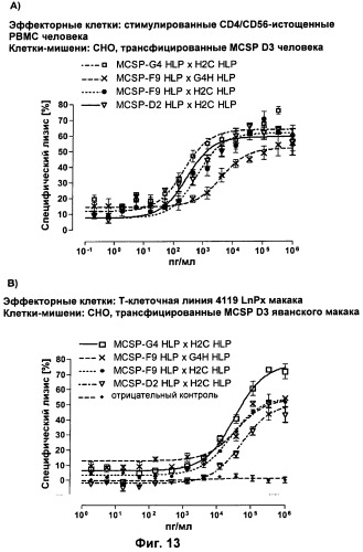 Pscaxcd3, cd19xcd3, c-metxcd3, эндосиалинxcd3, epcamxcd3, igf-1rxcd3 или fap-альфаxcd3 биспецифическое одноцепочечное антитело с межвидовой специфичностью (патент 2547600)