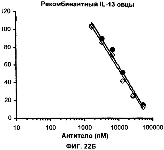 Антитела против интерлейкина-13 человека и их применение (патент 2427589)