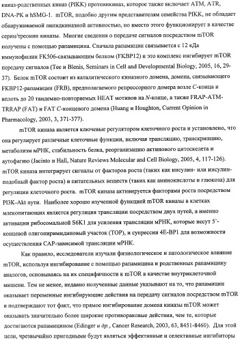 Производные морфолинопиримидина, полезные для лечения пролиферативных нарушений (патент 2440349)