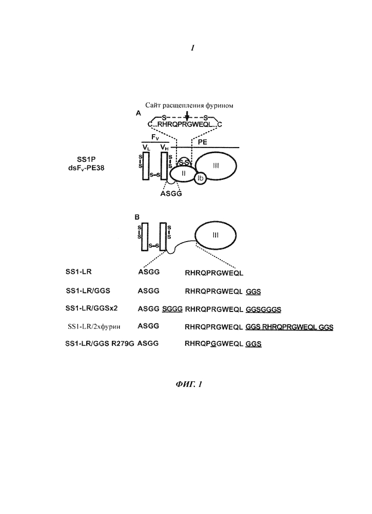 Рекомбинантный иммунотоксин, нацеленный на мезотелин (патент 2600067)