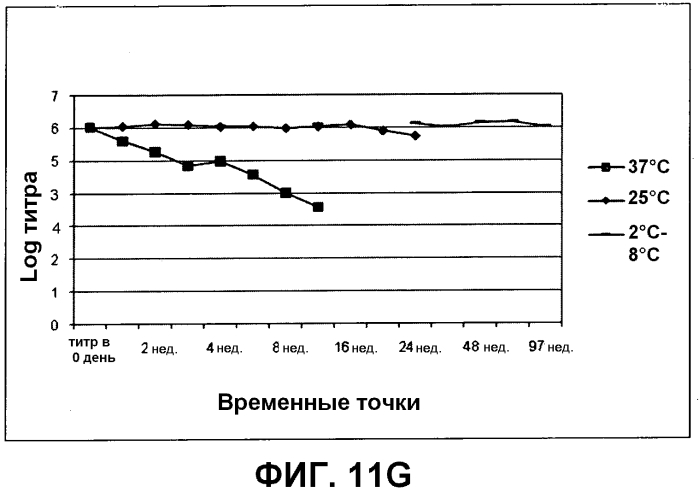 Композиция, применимая в качестве ротавирусной вакцины, и способ ее получения (патент 2553331)