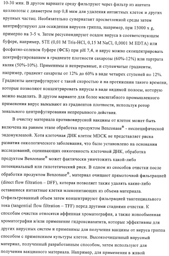 Линии клеток почки собаки майдин-дэрби (mdck), поддерживающие рост вирусов до высоких титров, и способ применения этих клеток в биореакторе (патент 2487935)