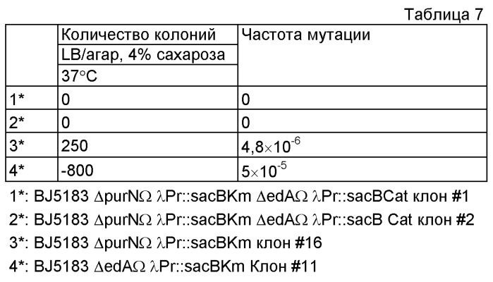 Плазмида без устойчивости к антибиотику (патент 2548809)