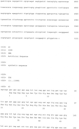 Плазмидный вектор phyp с повышенной сегрегационной стабильностью для экспрессии рекомбинантного белка, бактерия - продуцент предшественника рекомбинантного белка и способ получения рекомбинантного белка (патент 2496877)