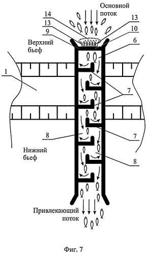 Способ пропуска рыб через рыбоход из нижнего бьефа гидроузла в верхний бьеф (варианты) (патент 2377365)