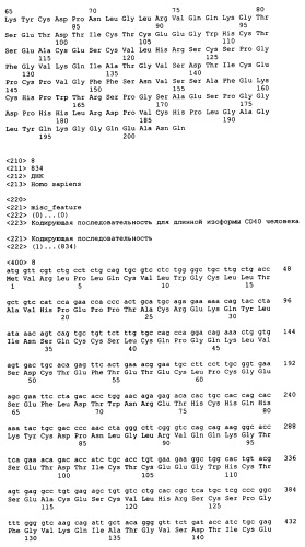 Применения антител против cd40 (патент 2442605)