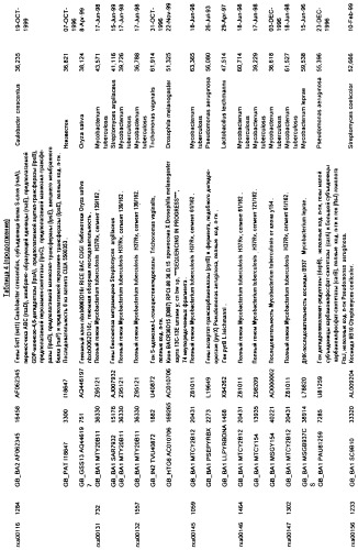 Гены corynebacterium glutamicum, кодирующие белки метаболических путей (патент 2306339)