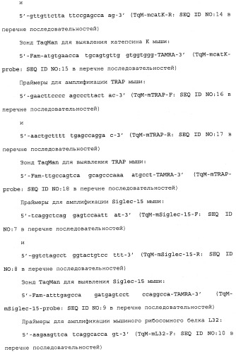 Антитело, направленное на белок siglec-15, связанный с остеокластами (патент 2475499)