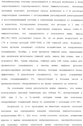 Scfv против egfrviii с улучшенной цитотоксичностью и выходом, иммунотоксины на их основе и способы их применения (патент 2317999)
