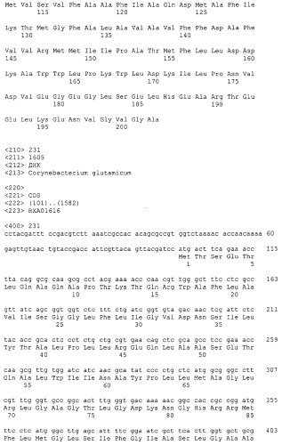 Гены corynebacterium glutamicum, кодирующие белки резистентности и толерантности к стрессам (патент 2303635)