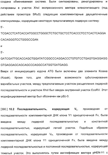 Специфические антитела человека для избирательной терапии рака (патент 2316564)