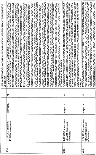 Pscaxcd3, cd19xcd3, c-metxcd3, эндосиалинxcd3, epcamxcd3, igf-1rxcd3 или fap-альфаxcd3 биспецифическое одноцепочечное антитело с межвидовой специфичностью (патент 2547600)