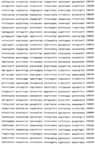 Применение s1p (патент 2362565)